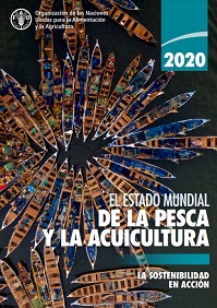Descargue el informe Estado mundial de la pesca y la acuicultura (SOFIA) - 2020 de la FAO