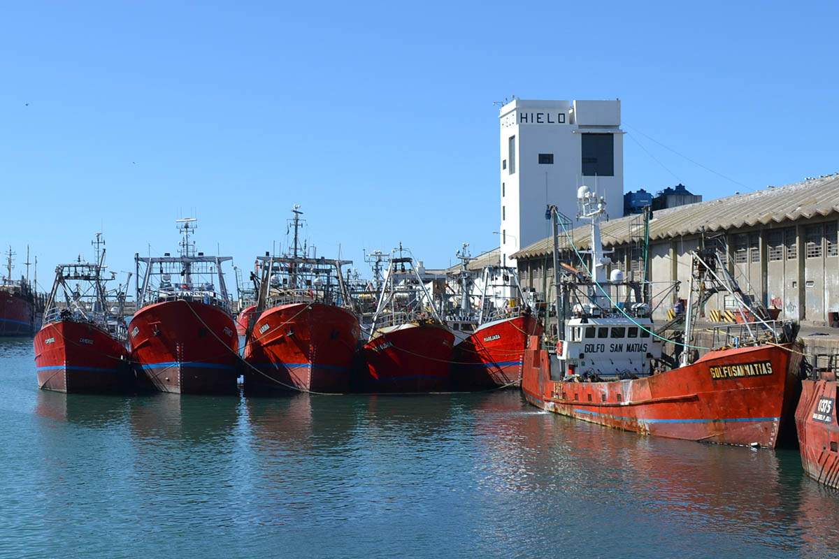 buques fresqueros de altura, Mar del Plata