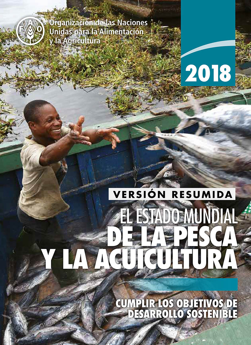Descargue el informe Estado mundial de la pesca y la acuicultura (SOFIA) - 2018 de la FAO