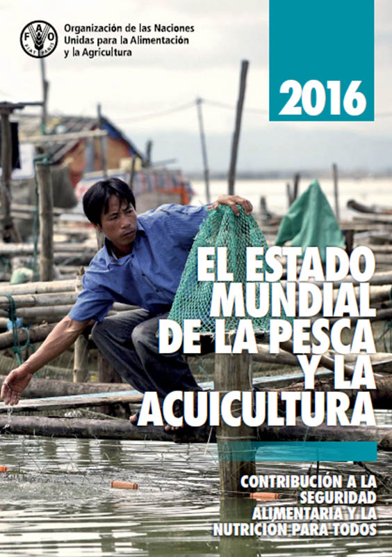 Descargue el informe Estado mundial de la pesca y la acuicultura (SOFIA) - 2016 de la FAO